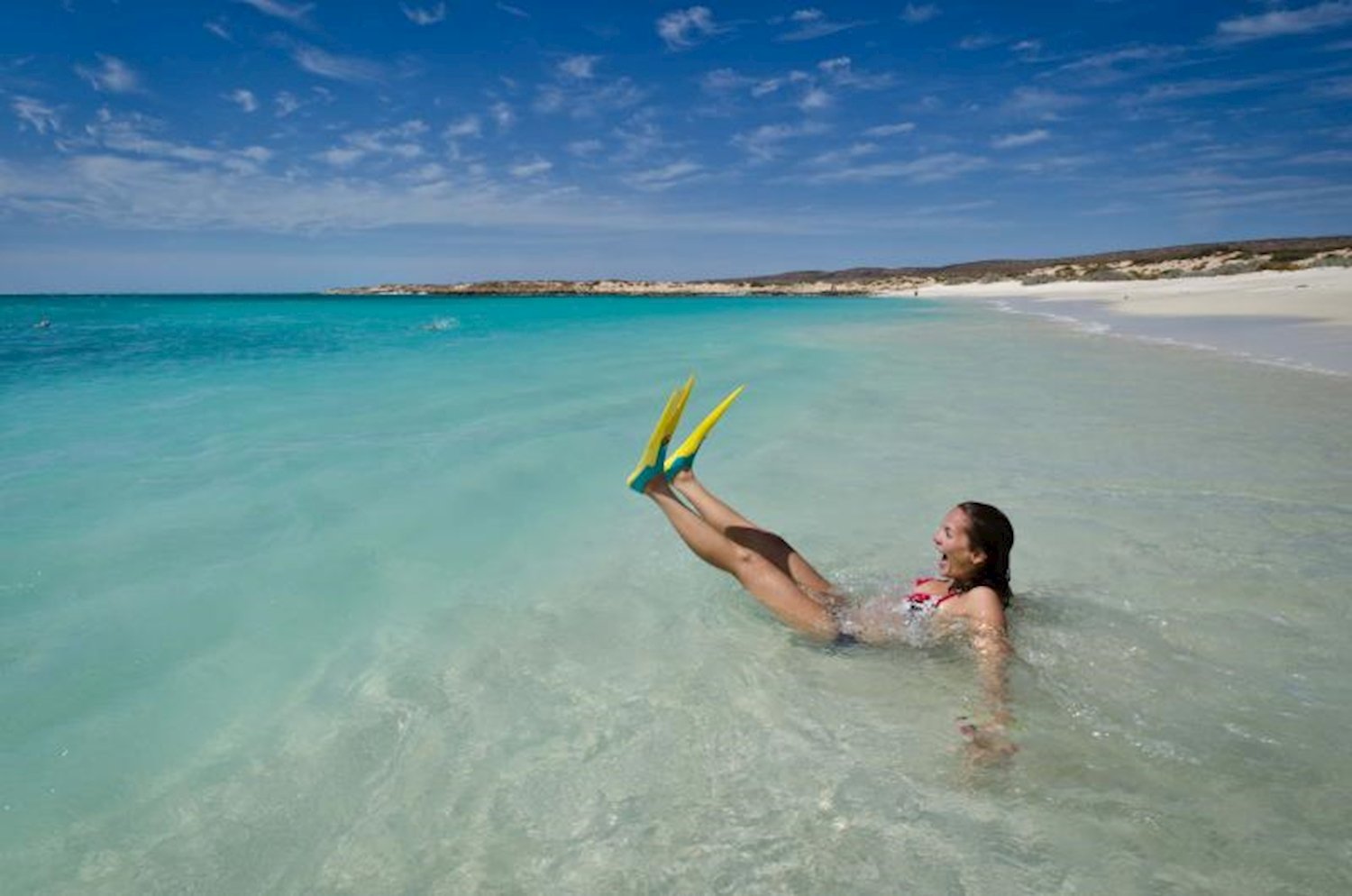 CREATOR: gd-jpeg v1.0 (using IJG JPEG v80), default quality