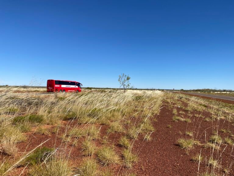443264-greyhound-australia-exterior-2