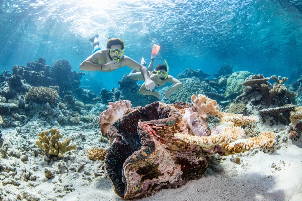 Two snorkels swim below the water on the great barrier reef to view a giant clam