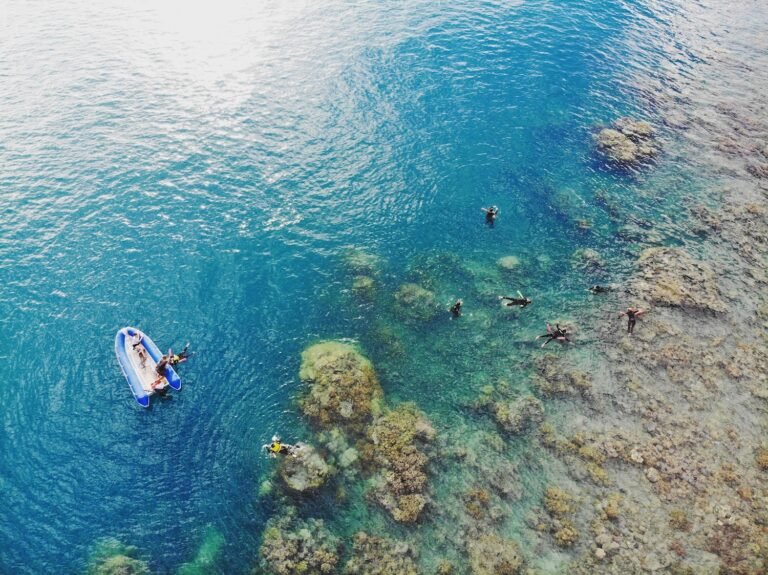 created by dji camera