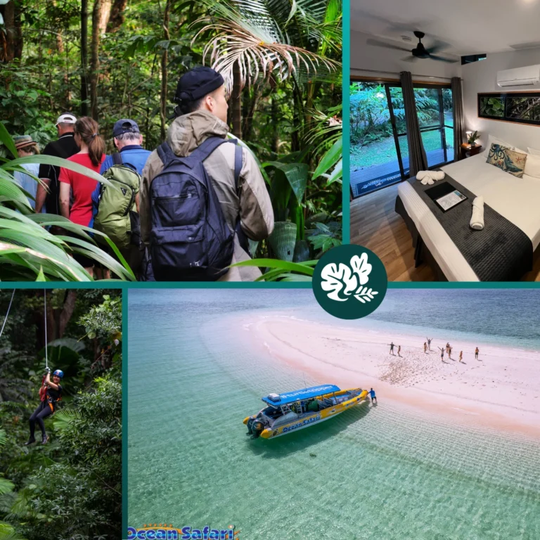 A collage of pictures of people walking through the Daintree rainforest, people snorkelling on the Great Barrier Reef and Cape Tribulation lodge.