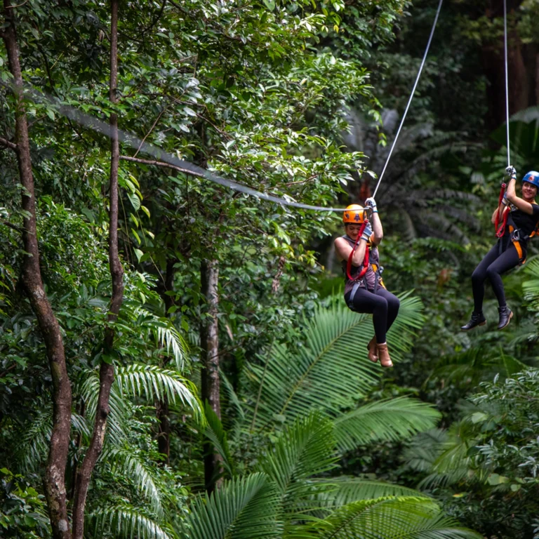 Two people zip-lining through the Daintree Rainforest.