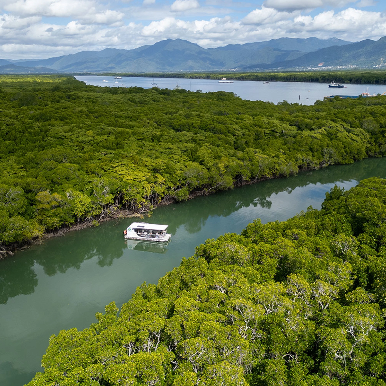 An aerial shot of a boat on the river in the mangroves of Trinity Inlet in Cairns.