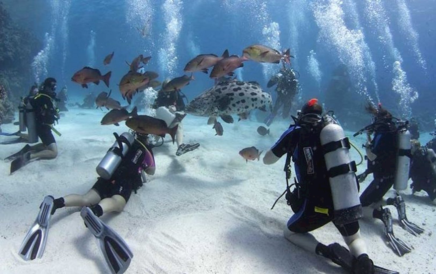 CREATOR: gd-jpeg v1.0 (using IJG JPEG v80), quality = 80