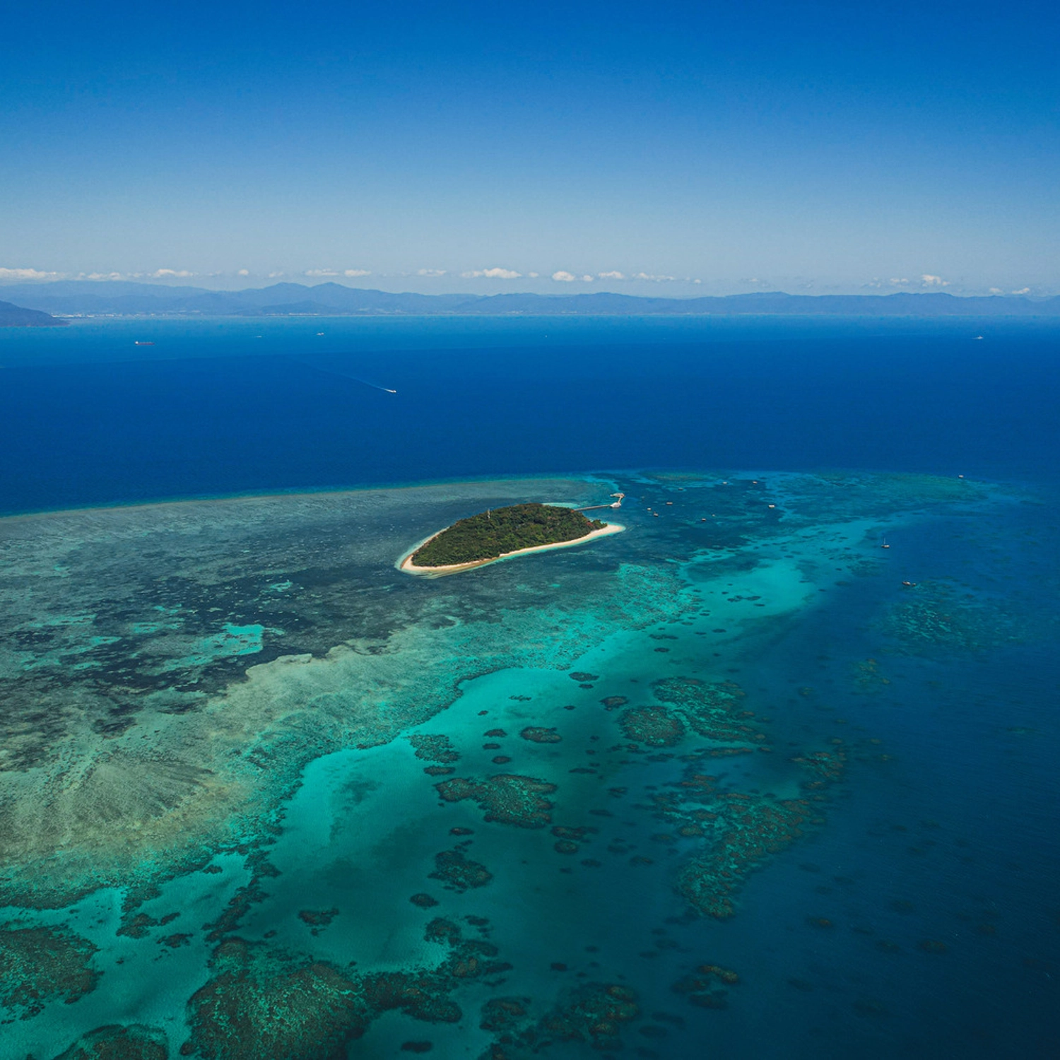 Wide shot of an island on the Great Barrier Reef