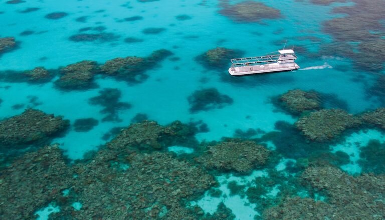 An aerial shot of the Great Barrier Reef with coral formations and a boat.