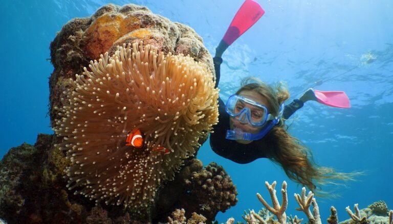 A person snorkelling underwater next to a coral reef with a clown fish poking out.