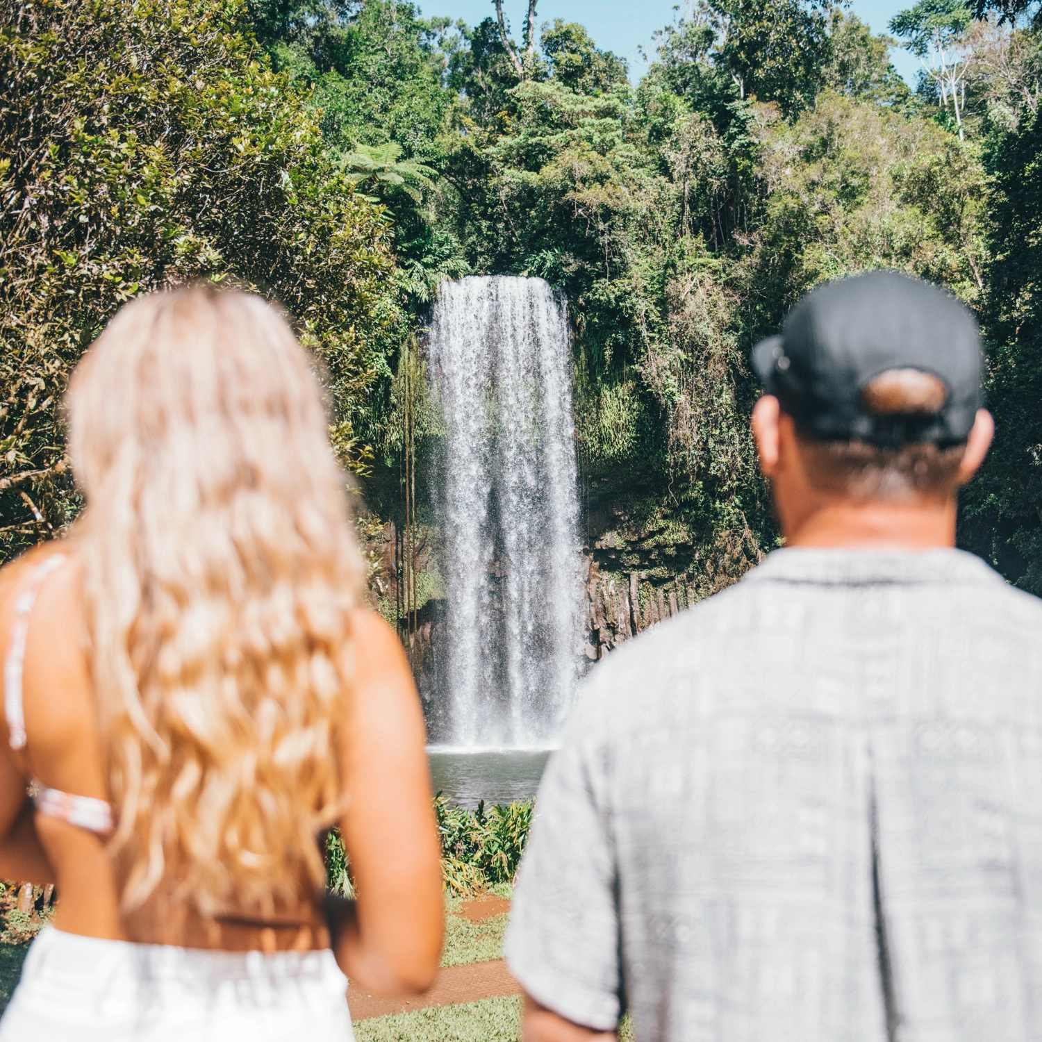 A back shot of two people admiring Millaa Millaa Falls on an Atherton Tablelands tour.