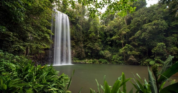 A wide shot of Milla Milla falls, a waterfall in the rainforest.