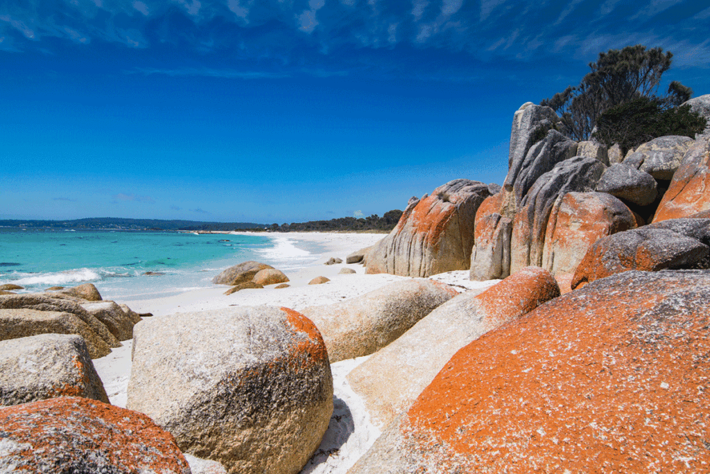 Orange rock formations on a beach in Tasmania.
