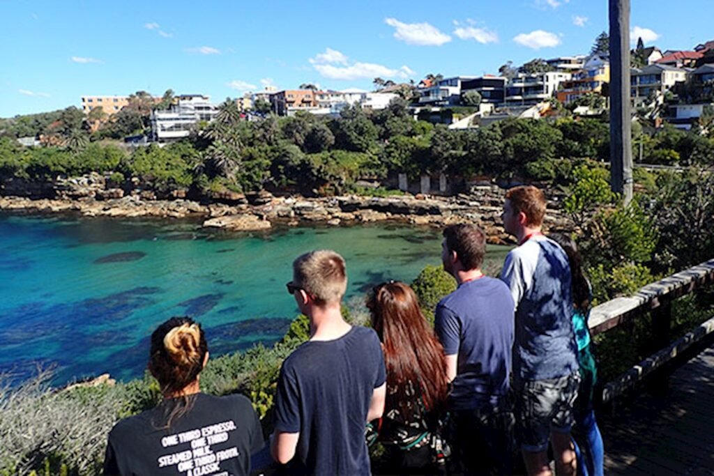 28626-9ed4846c-589c-4194-ab9b-d35fe2eae5e2-fullsize