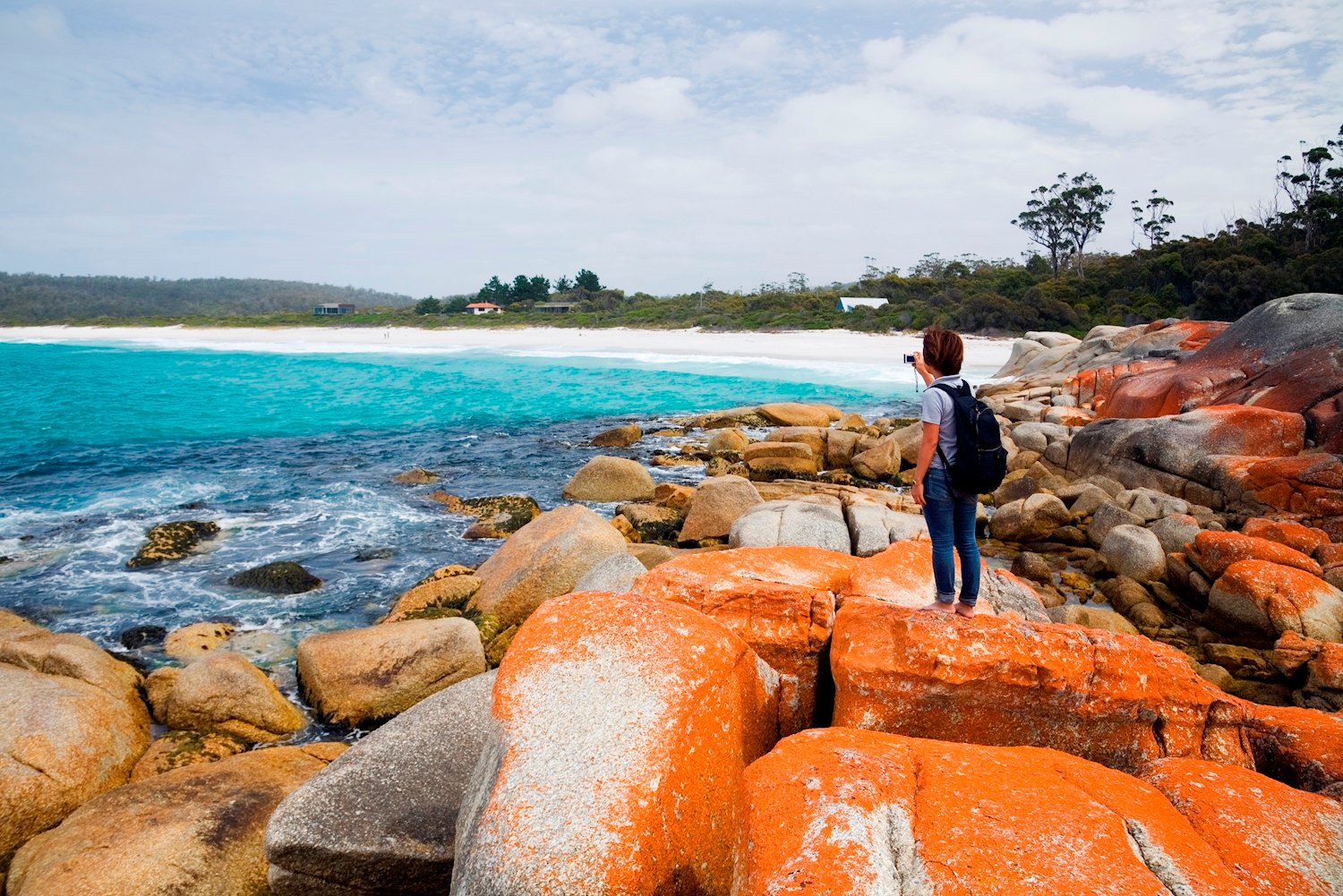 Adventure Tours - Taste of Tasmania 6 day tour.  29 Jan - 3 Feb, 2009.