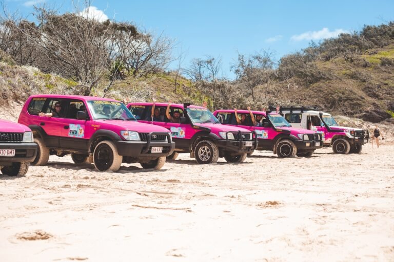 Four pink 4WD cars are lined up parked up on the beach on K'gari.