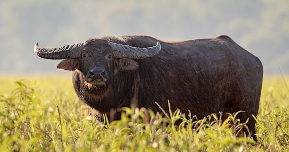 Kakadu National Park Full Day Tour 4