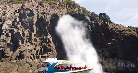 bruny island kettering 1