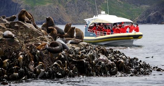 bruny island kettering 3