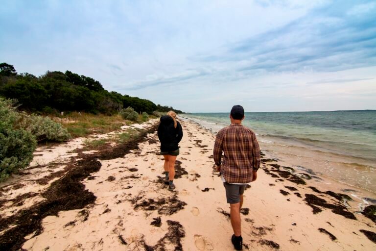 french and phillip 4