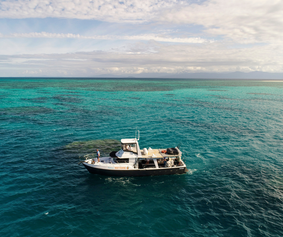 BLUE WHALER 1