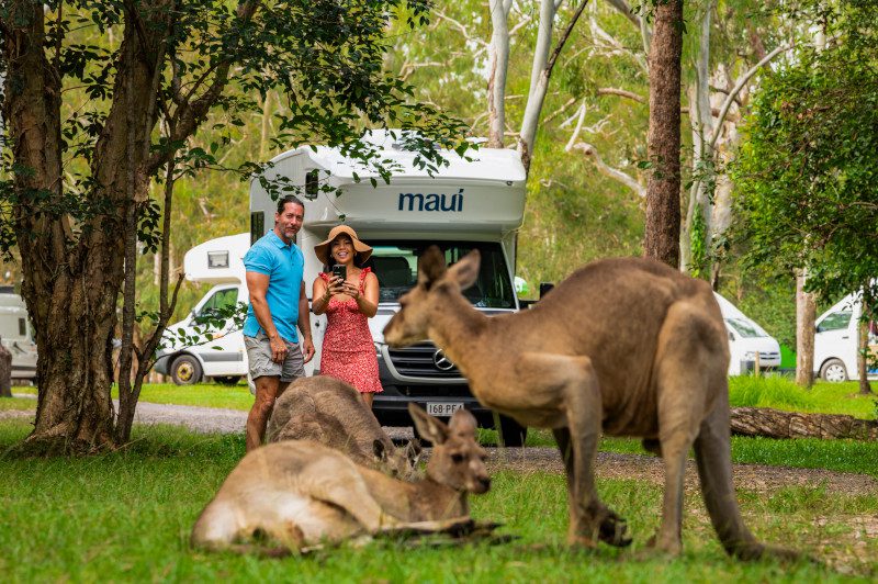 Maui_Beach_AU_Noosa_March2026-1286954