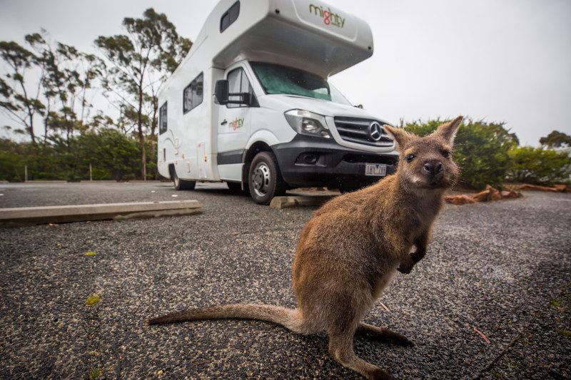 Mighty_Big Six_AU_IMG_5969