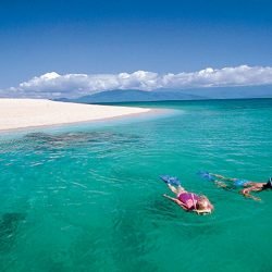 32822-7916330b-3c22-4153-a84c-bf5b5579d899-fullsize