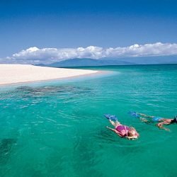 32822-7916330b-3c22-4153-a84c-bf5b5579d899-fullsize