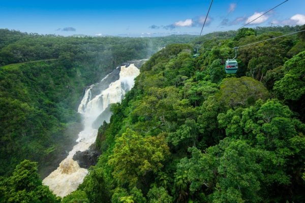 Barron Falls is pictured surrounded by rainforest as a cable car "Sky Rail" makes its way to Kuranda village