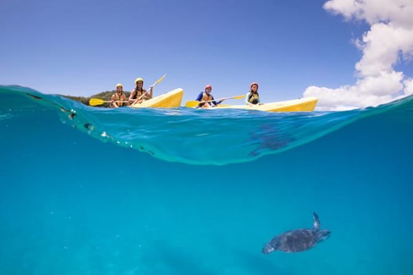 Kayaking with dolphins in Byron Bay
